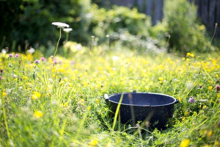 Outdoors antique