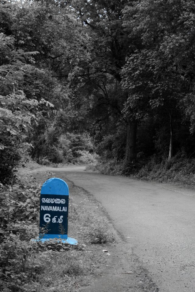 Track hike hiking
