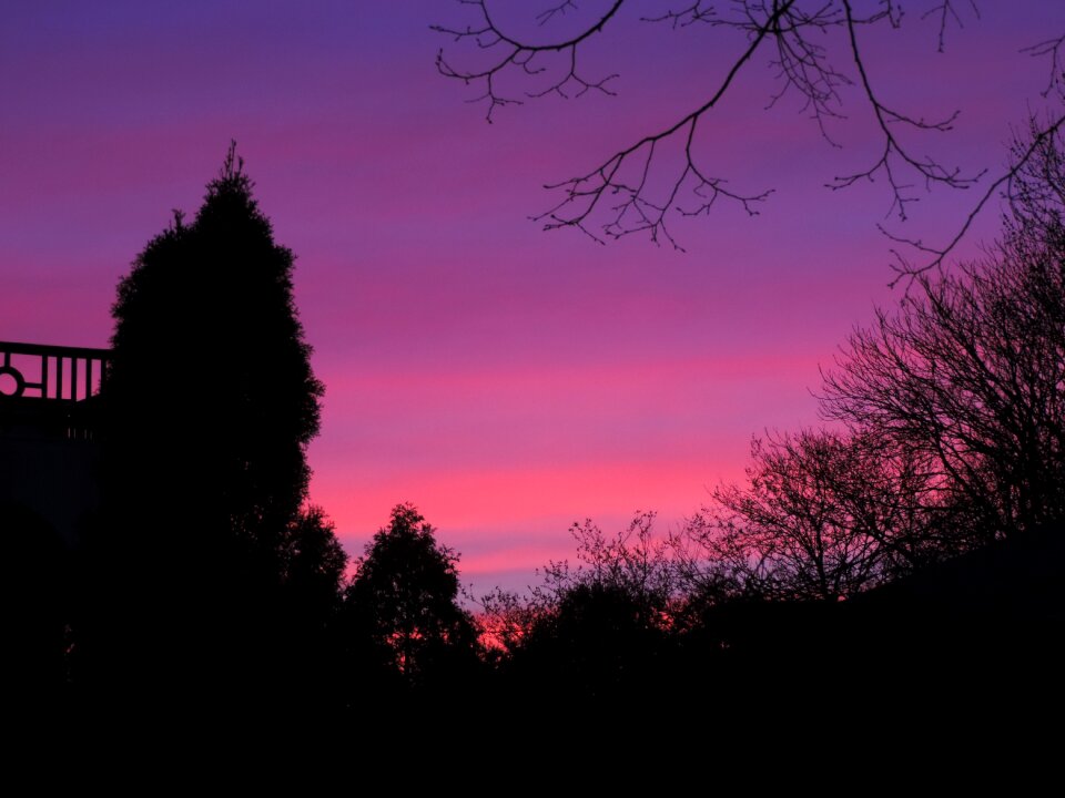 Nature landscape evening photo