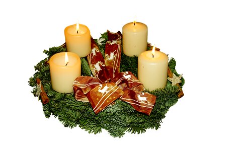 Holly arrangement christmas time