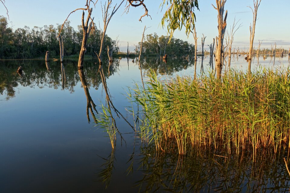 Lake water reflection