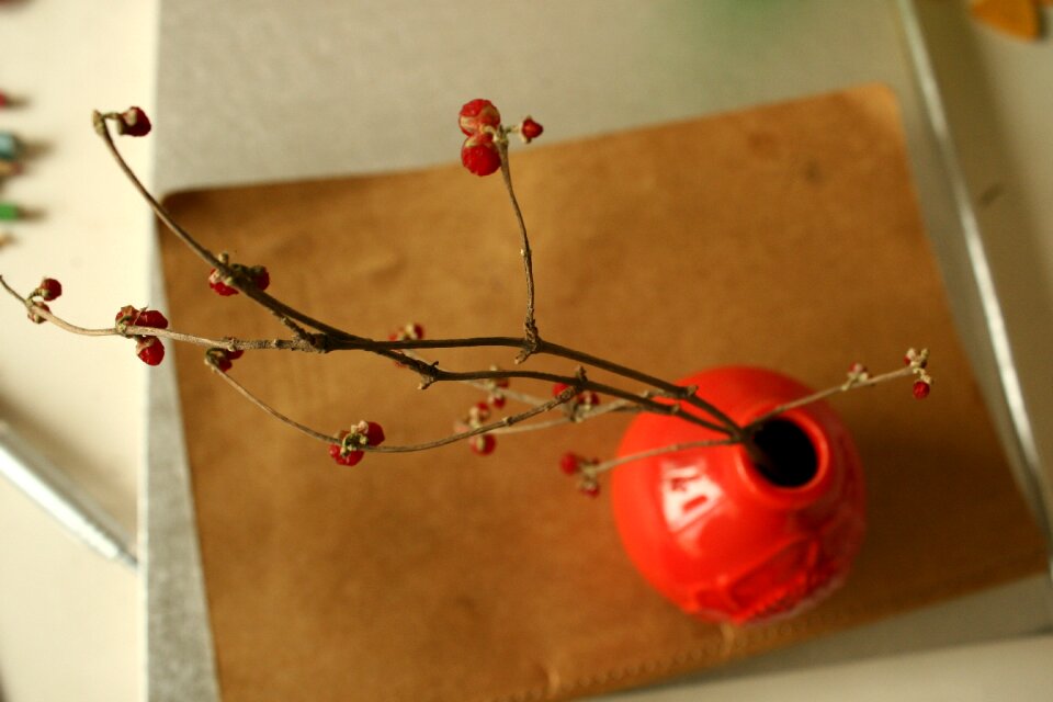 Dried flowers home vase
