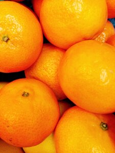 Mandarin fruit citrus fruit