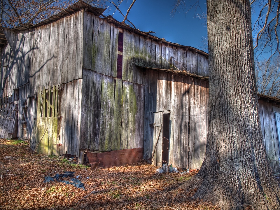 Farm blue sky