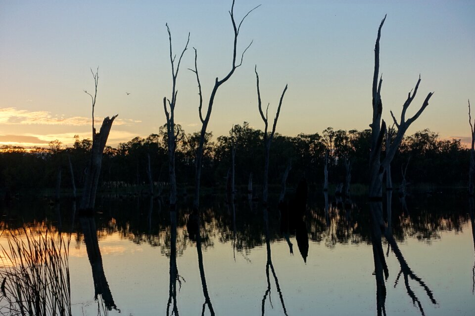 Tranquil landscape nature