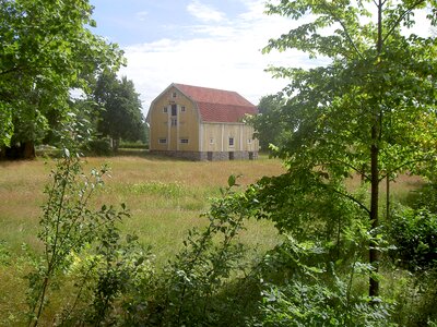 Sweden shed plants
