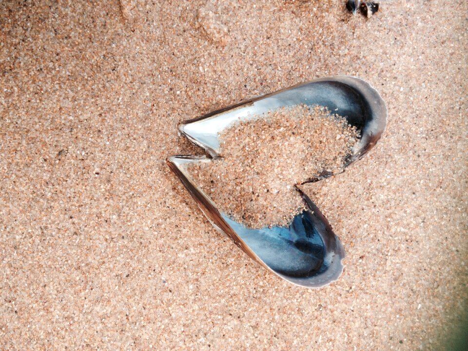 Sand beach