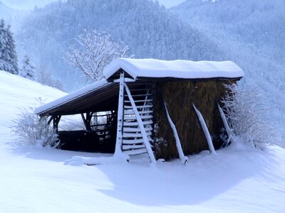Snow december