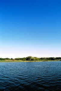 Reed landscape water photo