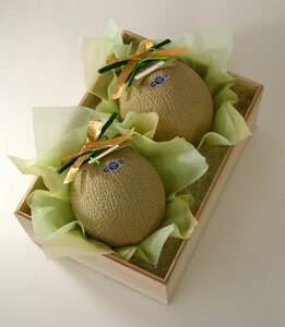 Midyear gift for gift-giving