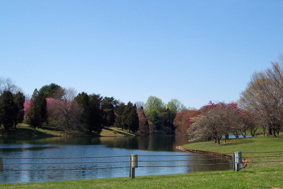 Summer lake water
