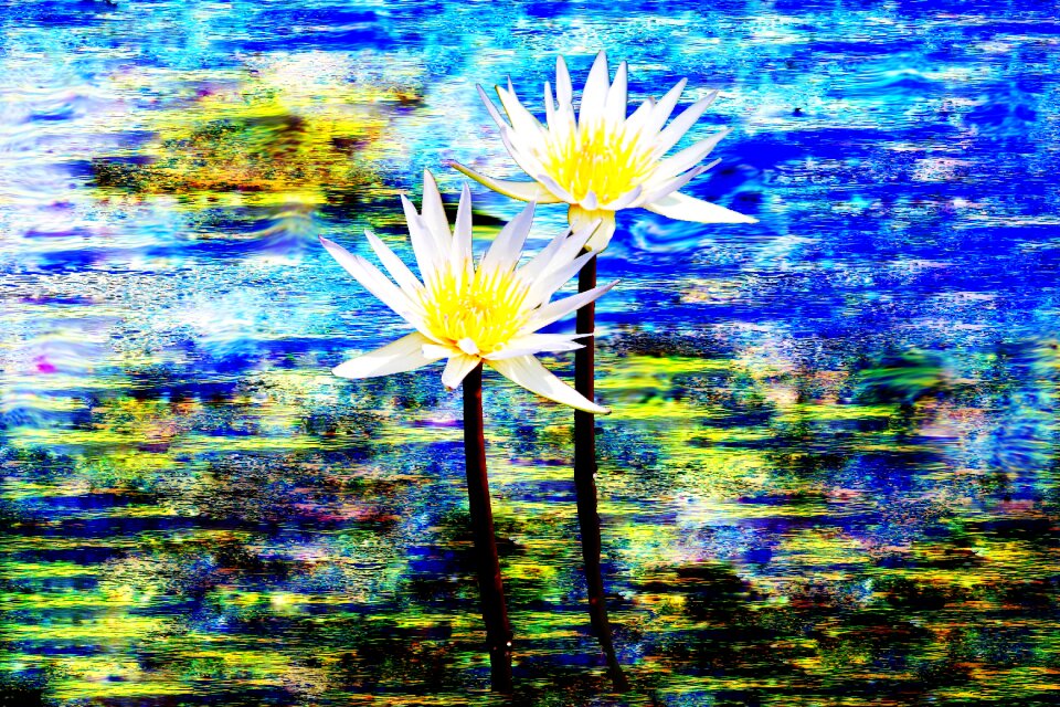 Nature spring garden
