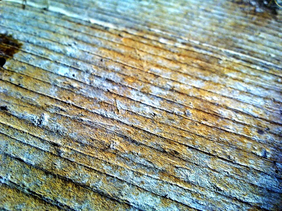 Nature light blue wooden wall