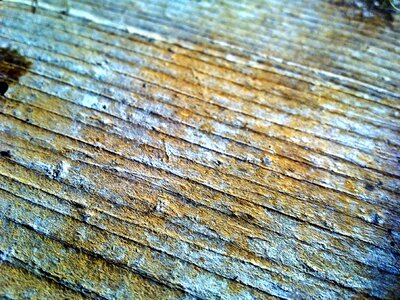 Nature light blue wooden wall