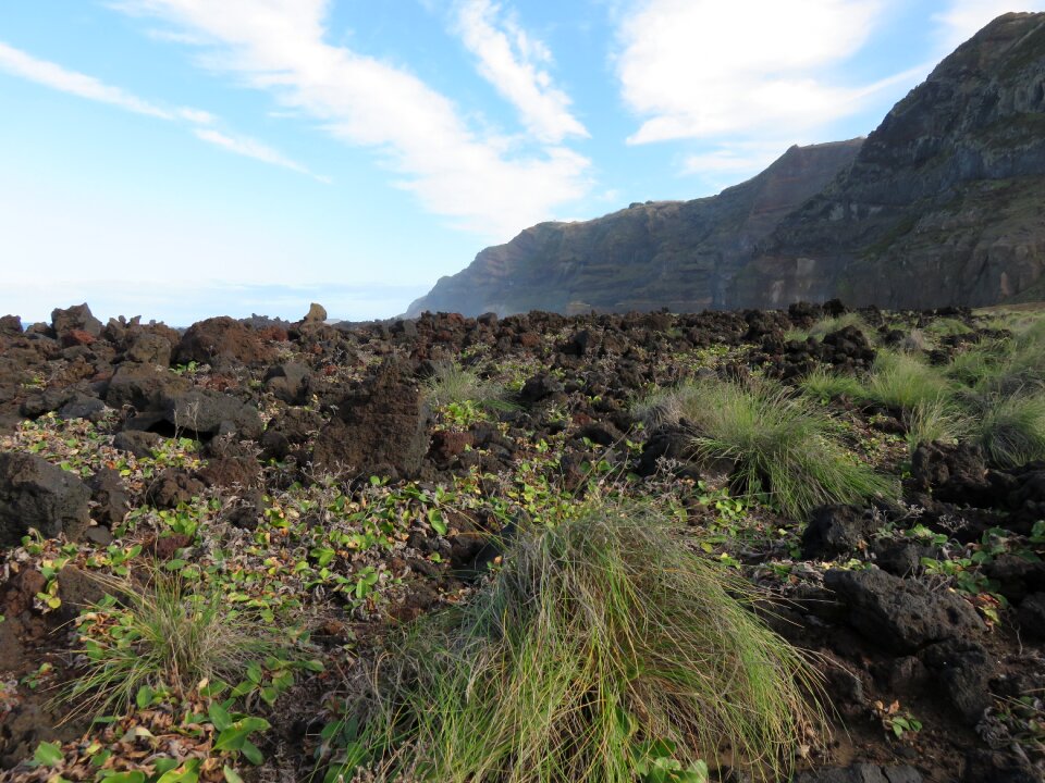 Flow basalt landscape