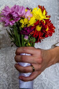 Alliance income marriage