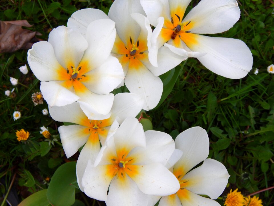 Beautiful plant feelings