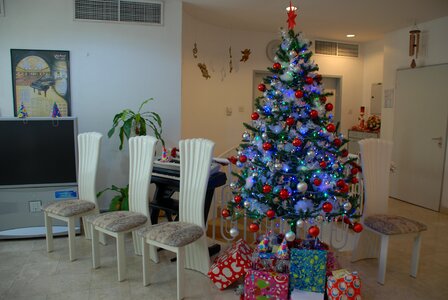 Interior xmas christmas tree photo
