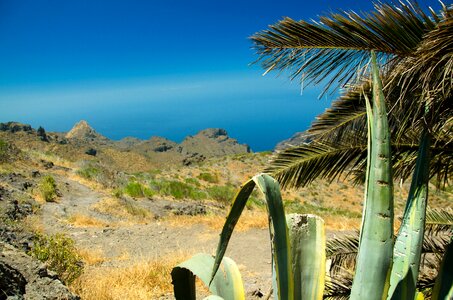 Tenerife beauty nature photo