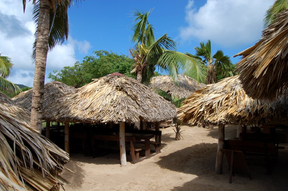 Roof tropical tropics photo