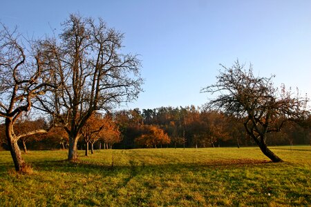 Landscape germany agriculture