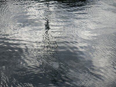 Water landscape river
