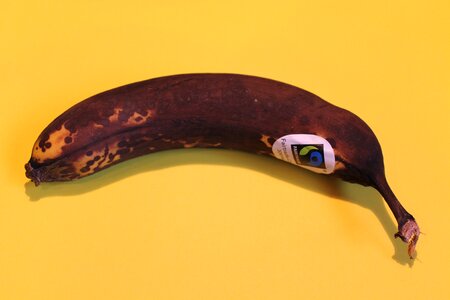 Banana brown scruffy