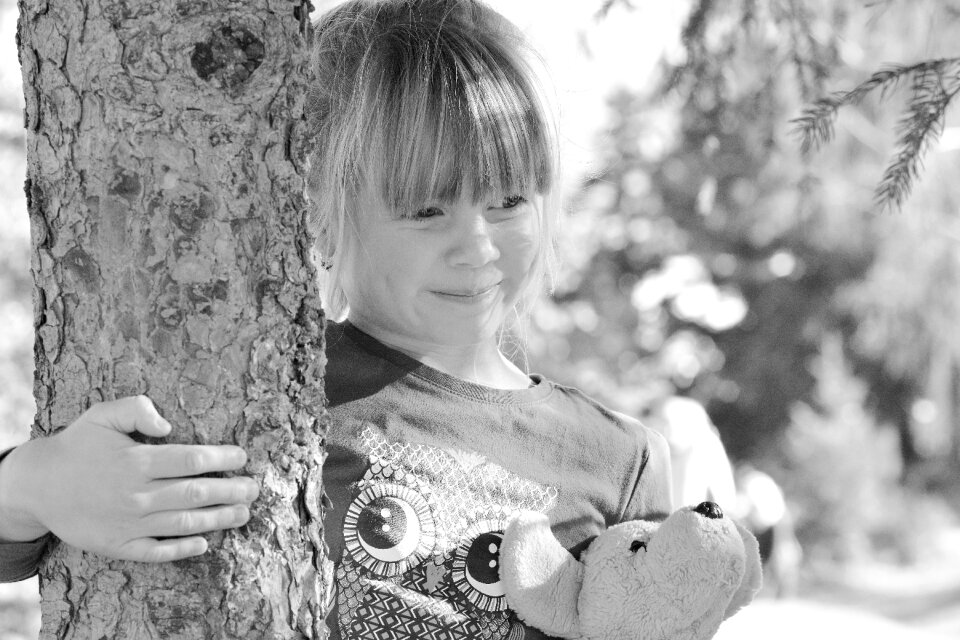 Forest teddy bear nature