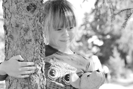 Forest teddy bear nature