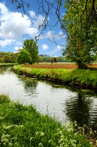 River forest grass photo