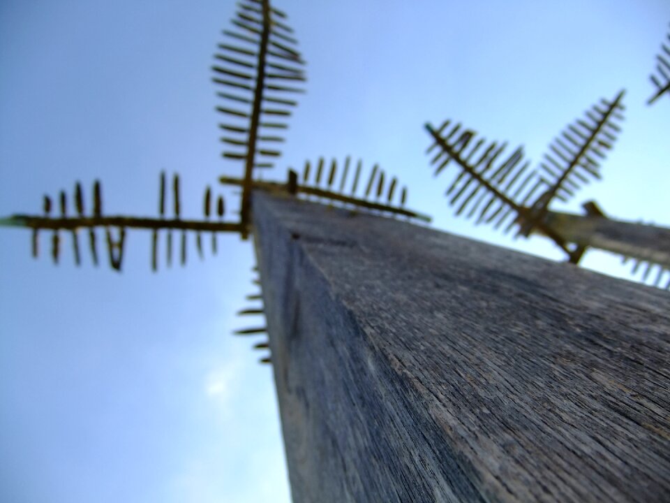 Wood art sky exotic