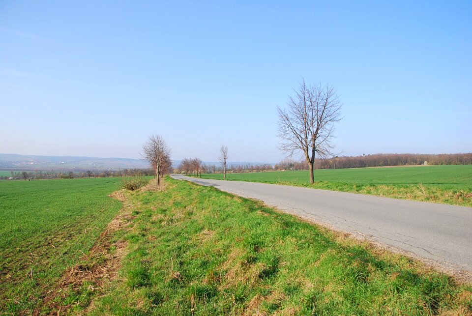 Country field