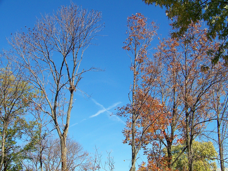 Airplane blue sky