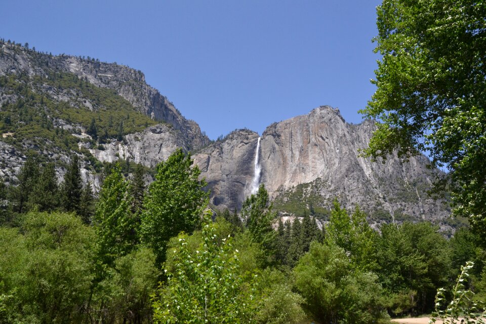 Forest usa america