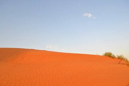 Safari dunes photo