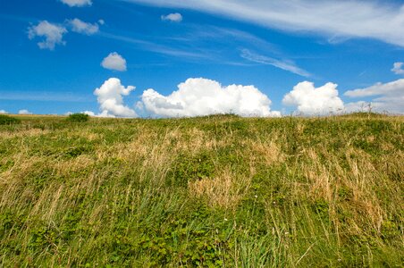 Landscape grass hill