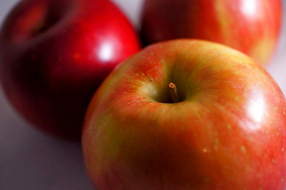 Healthy food fresh