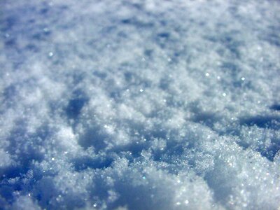 Frost winter krupnyj plan