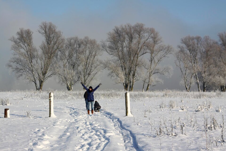 Happy tree cold