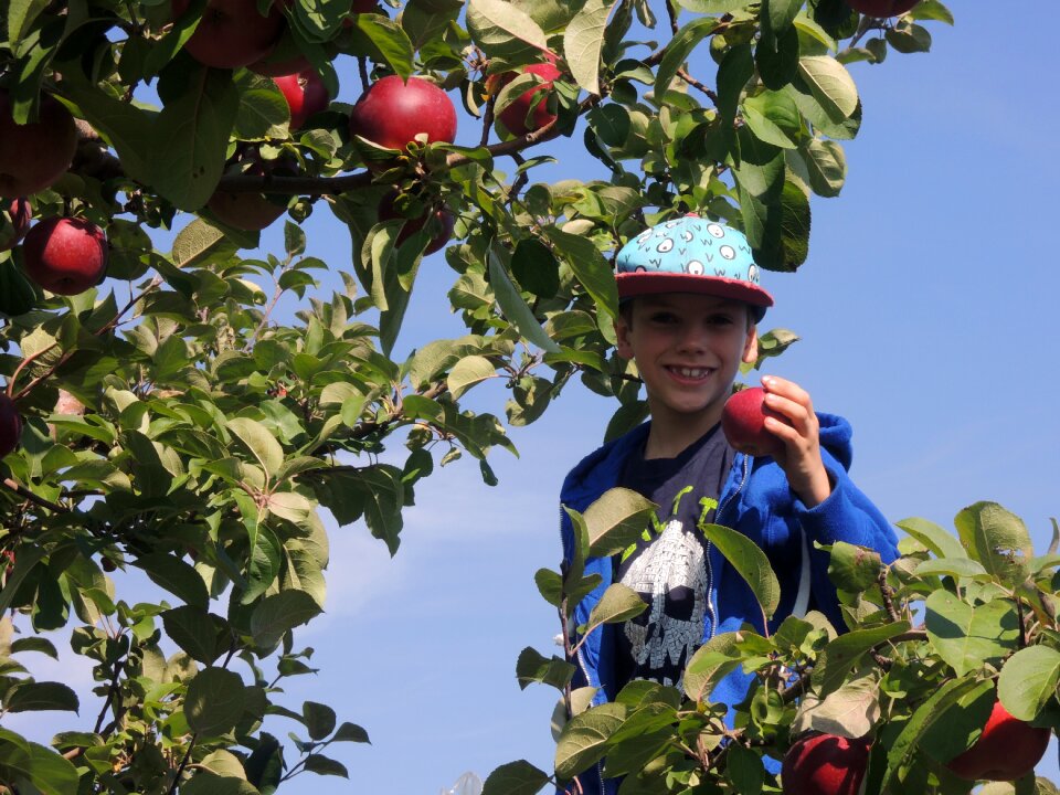 Boy leaves nature