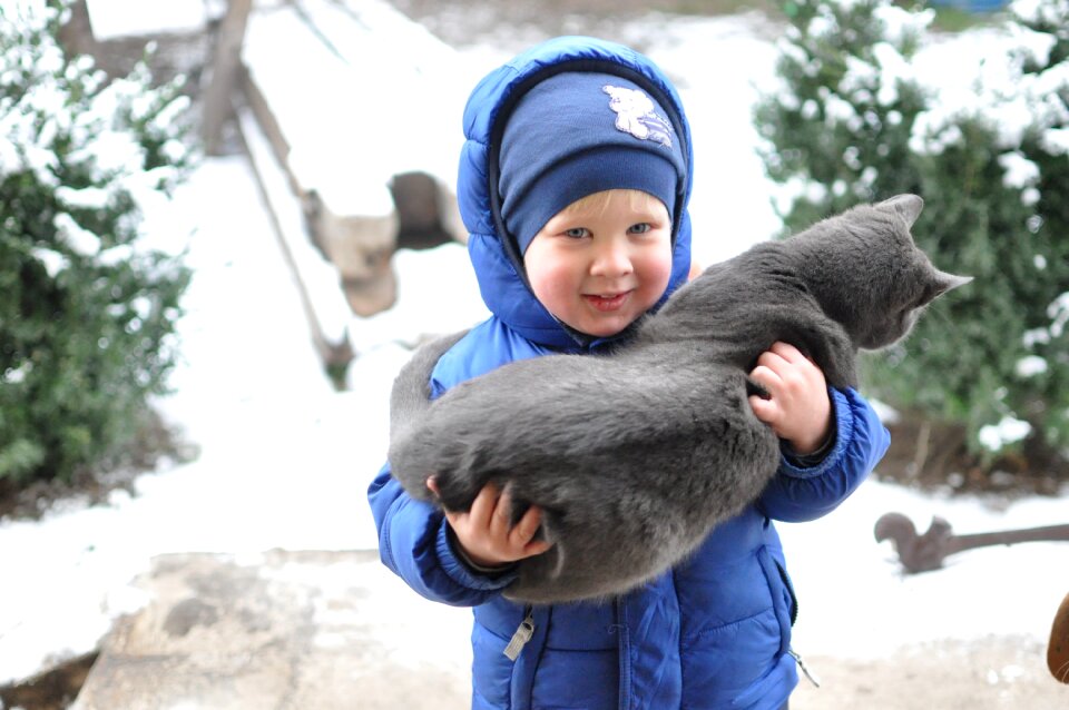 Kitten winter friendship