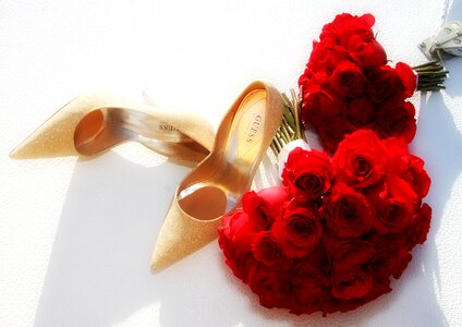 Red roses gold photo