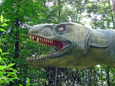 Dangerous carnivorous dinosaurs predator photo