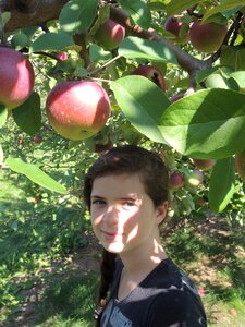 Child apple nature
