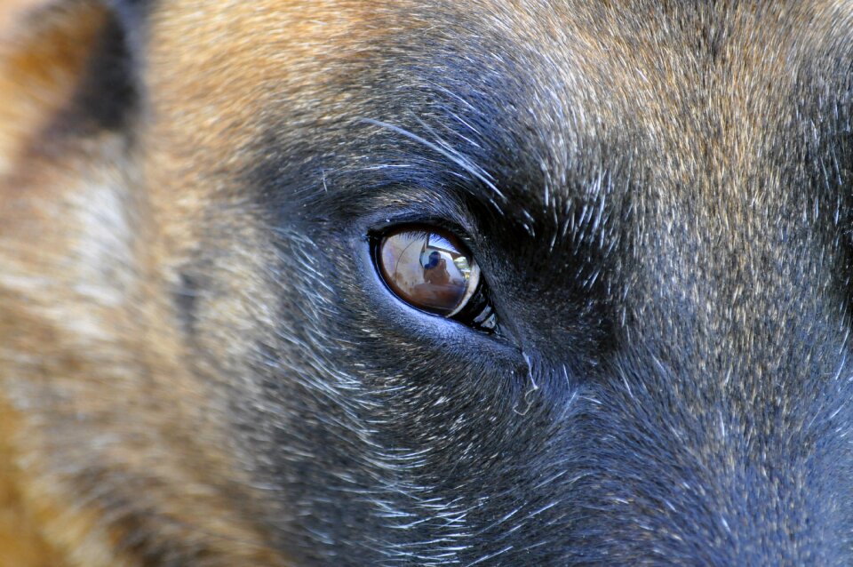Portrait head view