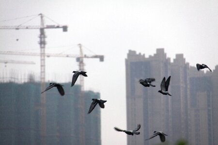 Changsha tall buildings estate