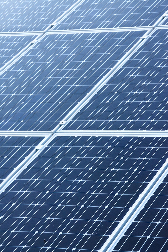 Cell clean detail