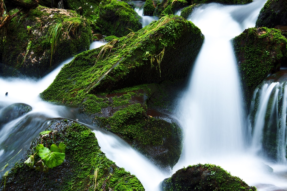 Flowing green landscape