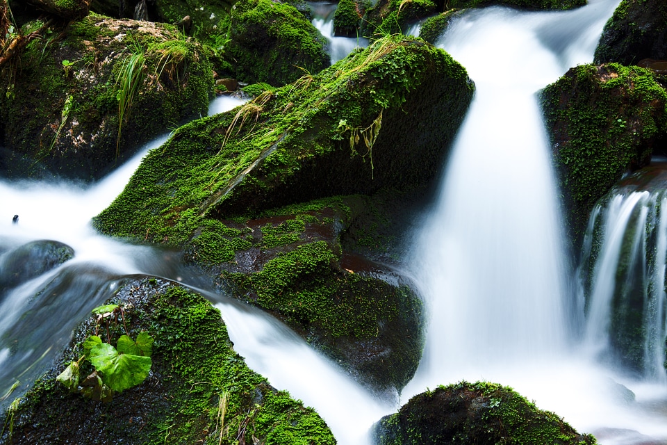 Flowing green landscape photo