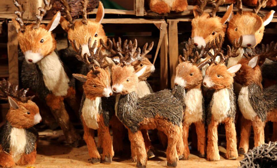Animal christmas christmas decoration